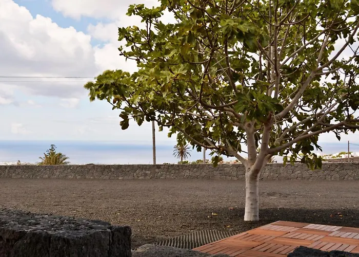 Apartament Cabana La Higuera