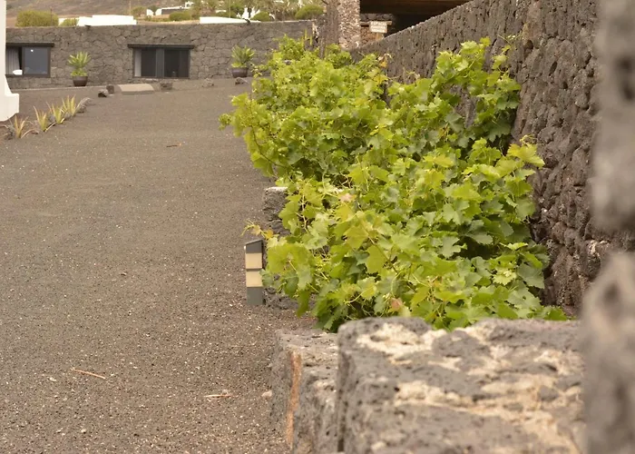 Cabana La Higuera Apartament