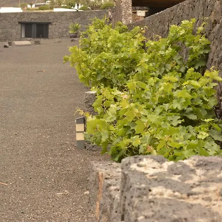 Cabana La Higuera Апартаменты